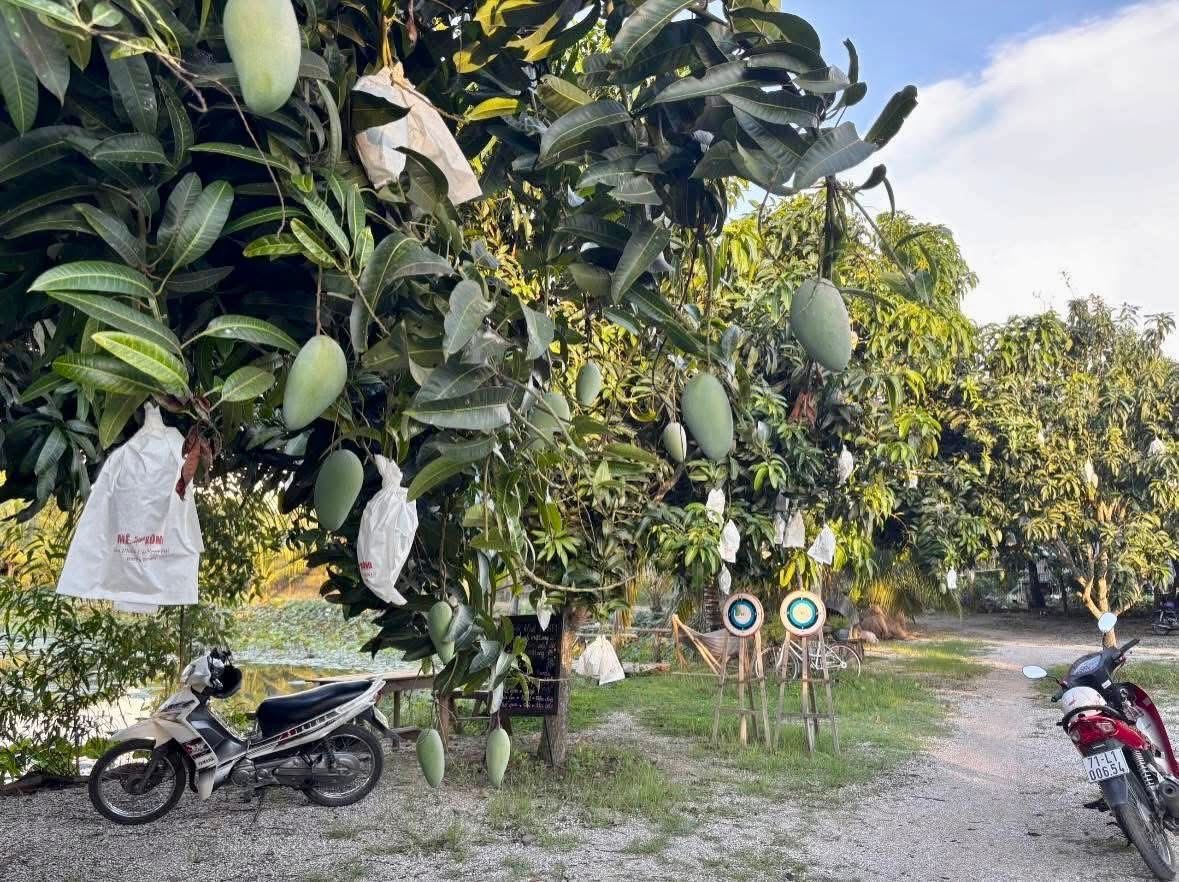 Chương trình trải nghiệm