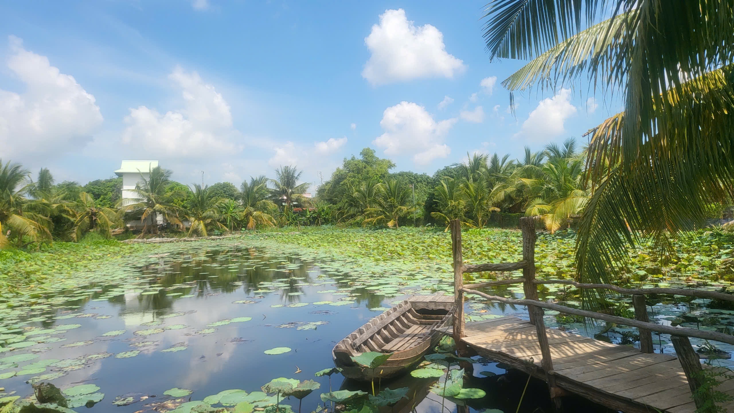 Chương trình trải nghiệm