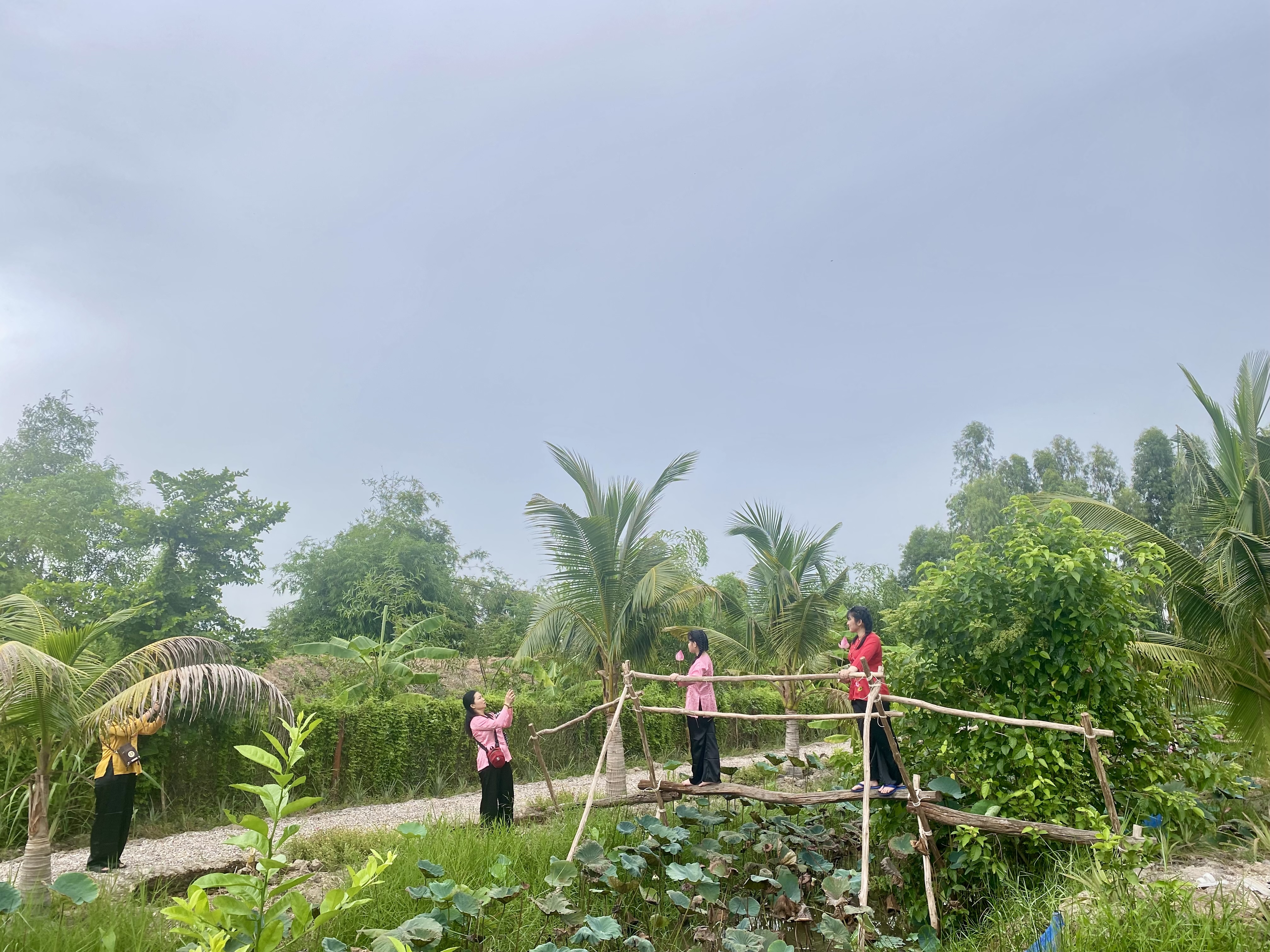 Hoạt động Senta Farm